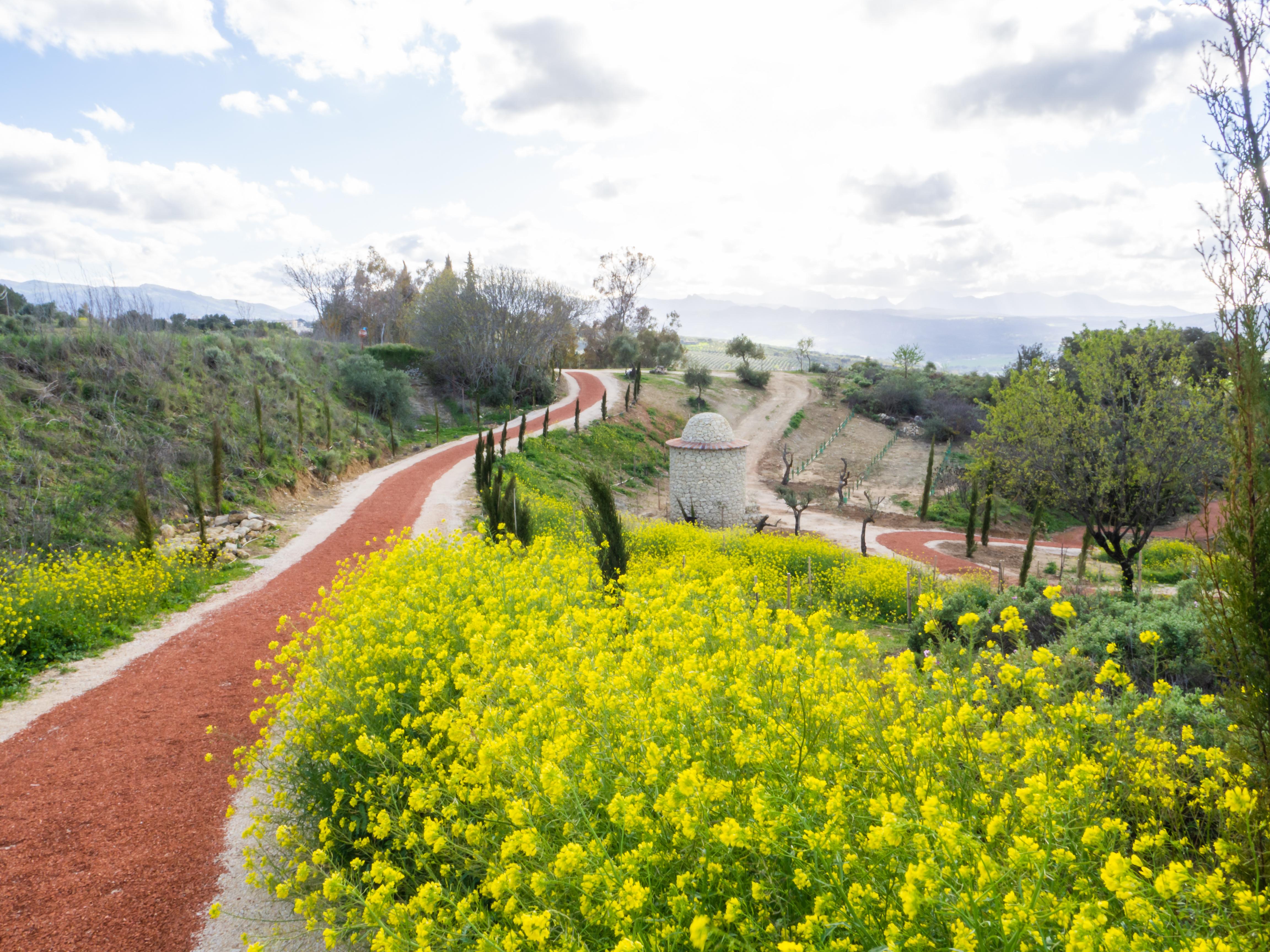 מלון רונדה Cortijo La Organic מראה חיצוני תמונה