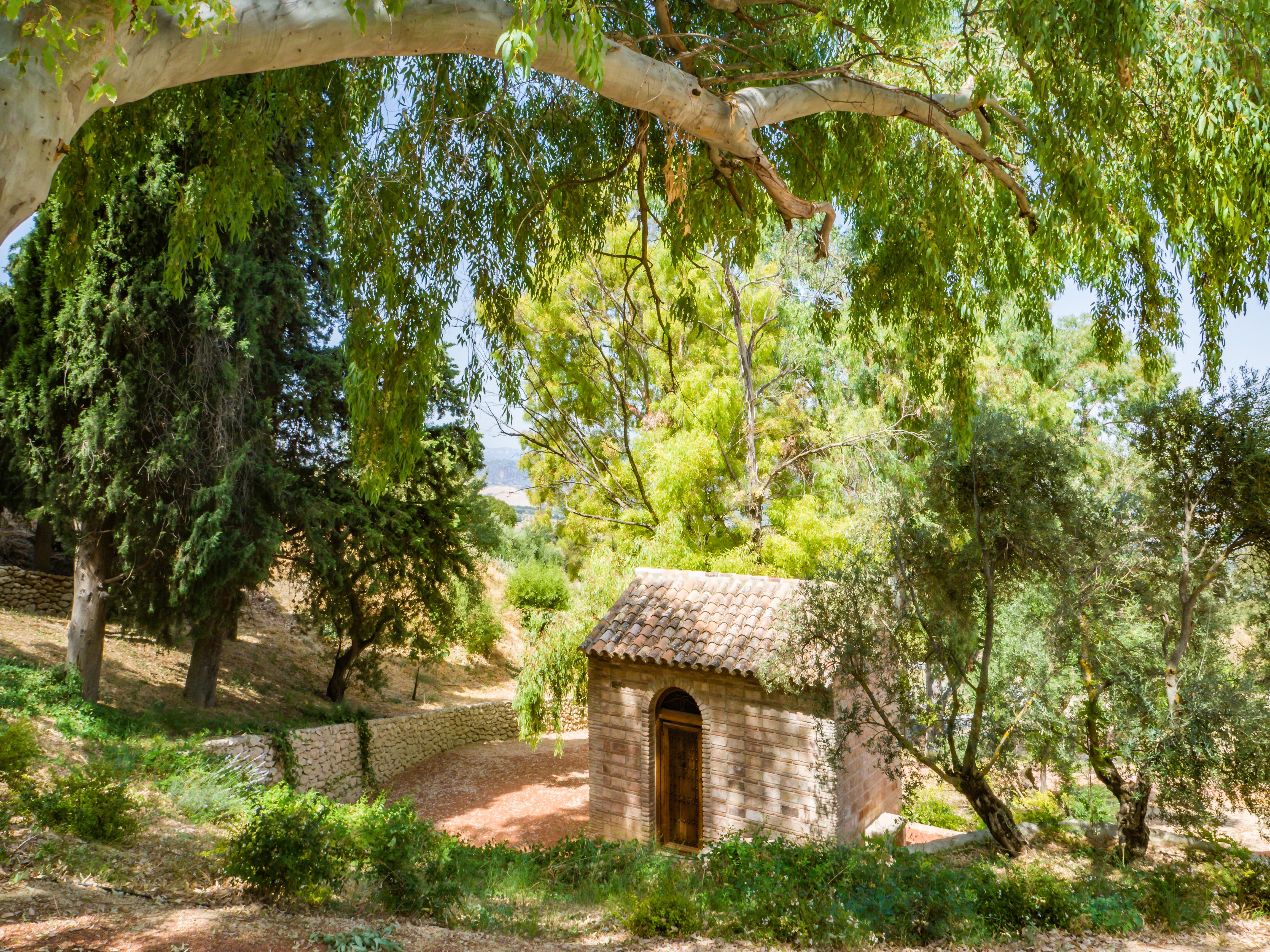 מלון רונדה Cortijo La Organic מראה חיצוני תמונה